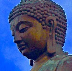 Meet your Posher, Calvin